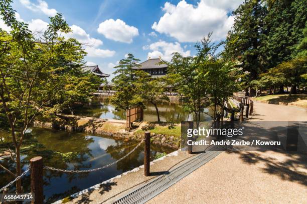 area around famous todaiji temple, in japan during summer - erforschung 個照片及圖片檔