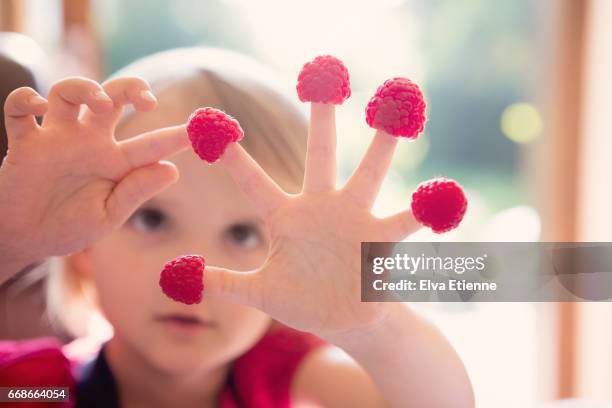 child counting raspberries on fingers - counting stock-fotos und bilder