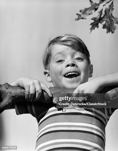 1950s SMILING BOY DOING CHIN-UP ON TREE BRANCH