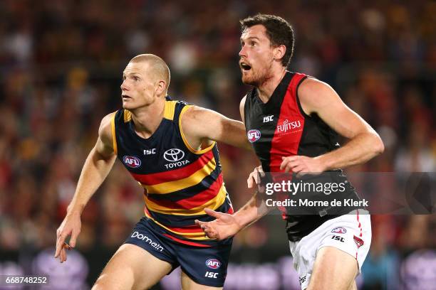 Sam Jacobs of the Crows and Matthew Leuenberger of the Bombers compete for the ball during the round four AFL match between the Adelaide Crows and...