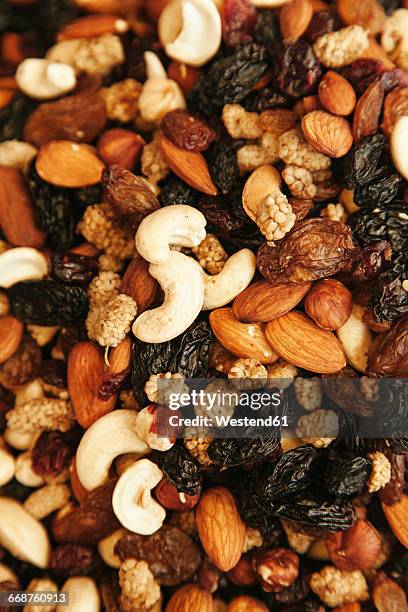 turkey, trail mix, close up - trail mix stock pictures, royalty-free photos & images