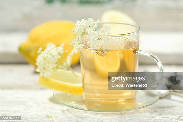 elder flower tea, tea cup and elderflowers, lemon in the background - elderberry stock-fotos und bilder