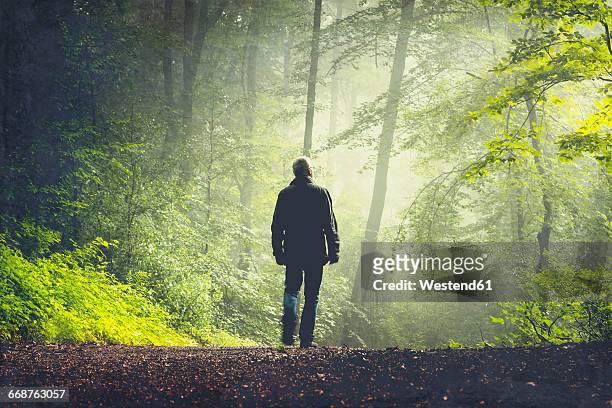 man walking on forest track in morning light - man nature fotografías e imágenes de stock