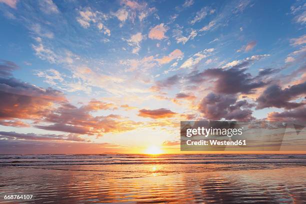 new zealand, north island, east coast sunrise, bay of plenty, waihi beach at sunrise, south pacific - horizon over water imagens e fotografias de stock