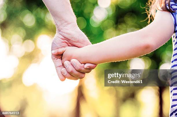 father holding hand of his little daughter - holding kid hands stock pictures, royalty-free photos & images