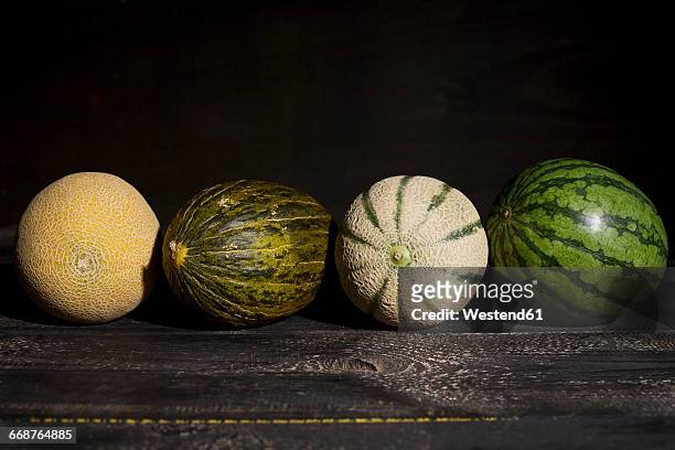 four different melons in front of dark background - gladde meloen stockfoto's en -beelden