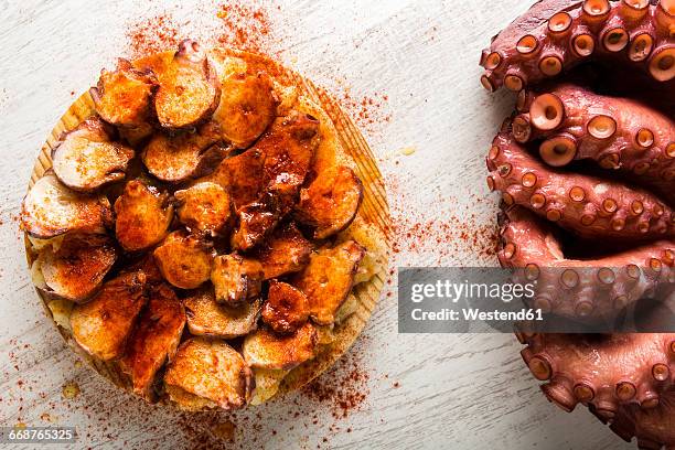 galician octopus - galicia stockfoto's en -beelden