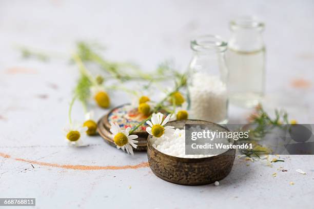 chamomile flowers and globules - homeopatía fotografías e imágenes de stock