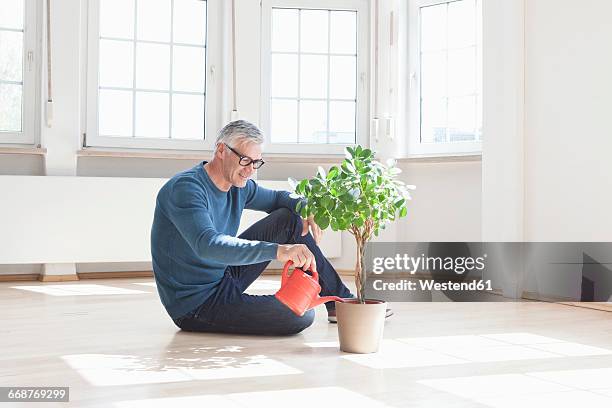 man sitting on floor watering plant in empty apartment - watering plants stock-fotos und bilder