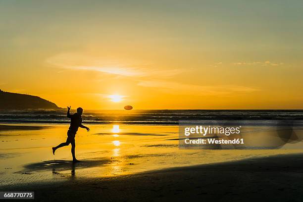 silhouette of man on the beach playing with frisbee at twilight - flying disc stock pictures, royalty-free photos & images