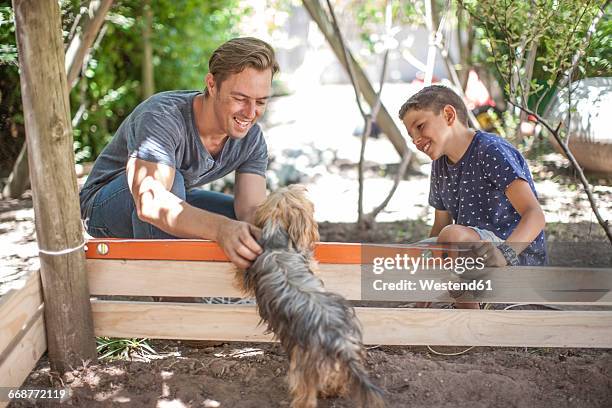 father and son with dog in garden - 2 boys 1 sandbox stock pictures, royalty-free photos & images