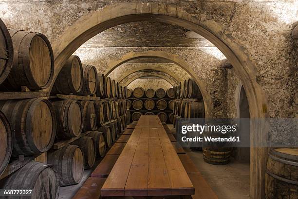 wine barrels in wine cellar - wijnkelder stockfoto's en -beelden