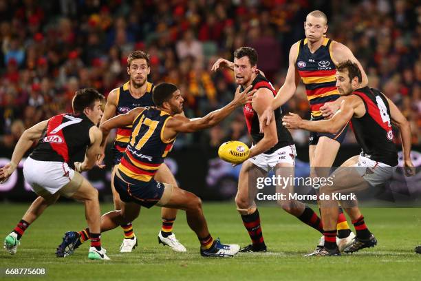 Matthew Leuenberger of the Bombers wins the ball during the round four AFL match between the Adelaide Crows and the Essendon Bombers at Adelaide Oval...