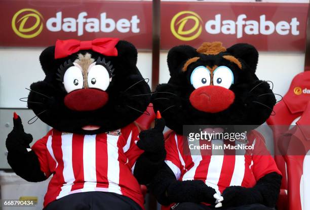 The two Sunderland mascots are seen prior to the Premier League match between Sunderland and West Ham United at Stadium of Light on April 15, 2017 in...