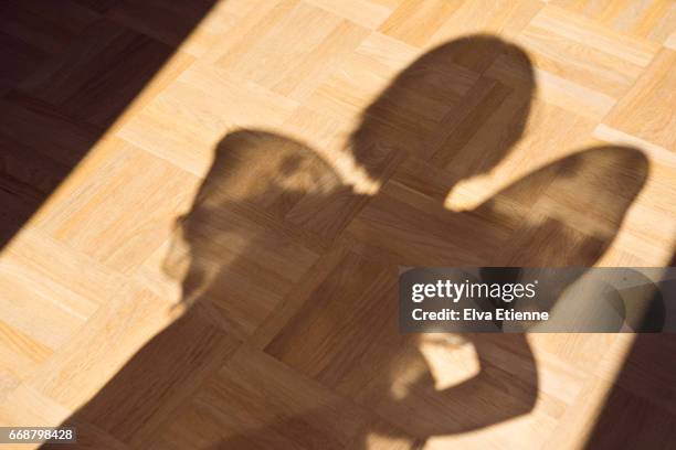 shadow on floor of a girl wearing fairy wings - feenkostüm stock-fotos und bilder