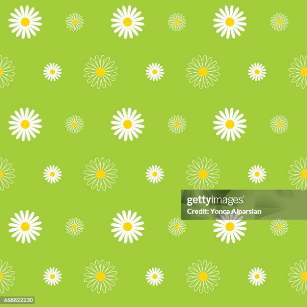 daisy seamless pattern - chamomile plant stock illustrations