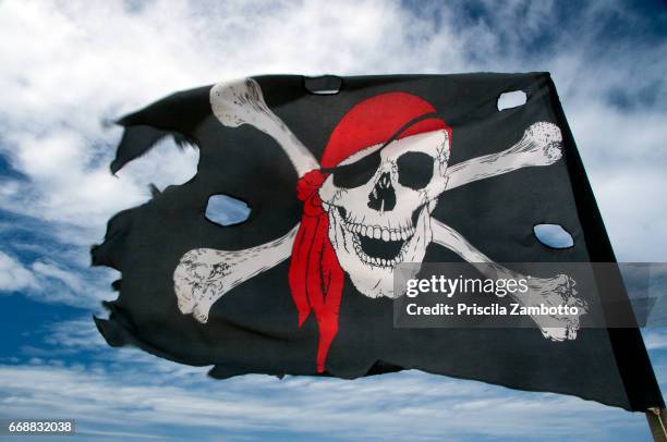 pirate flag - pirate flag stock-grafiken, -clipart, -cartoons und -symbole