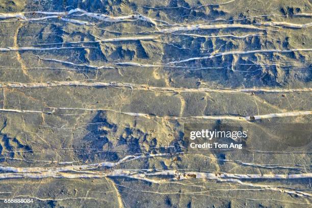 natural patterns and nature to use as backgrounds. - arabian resto foto e immagini stock