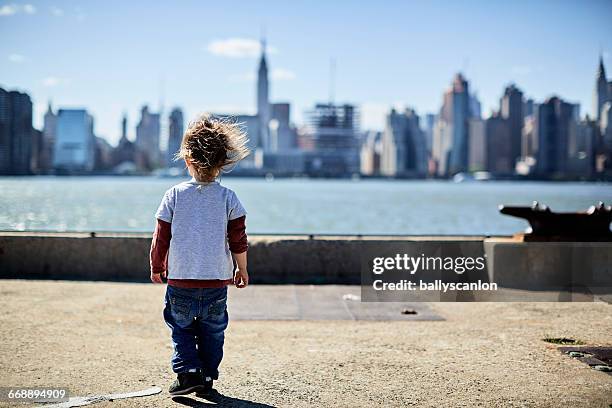 brothers, portrait, new york city in background. - panorama nyc day 2 foto e immagini stock