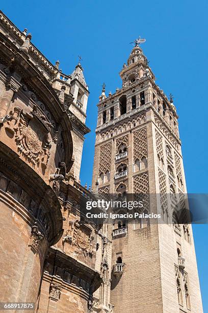 seville cathedral, sevilla - seville cathedral stock pictures, royalty-free photos & images