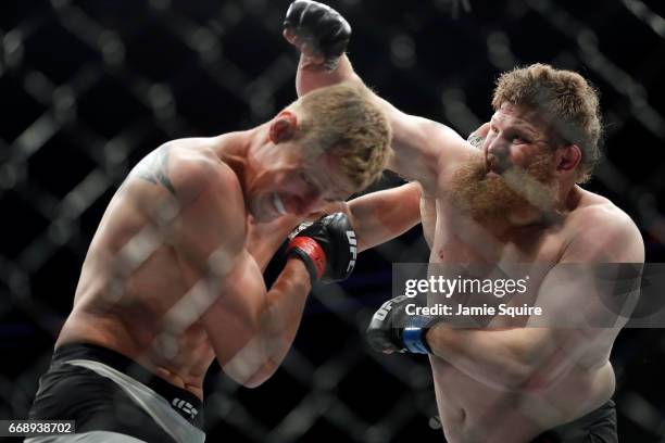 Alexander Volkov battles Roy Nelson during their Heavyweight bout on UFC Fight Night at the Sprint Center on April 15, 2017 in Kansas City, Missouri.