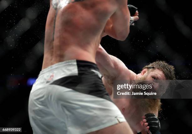 Roy Nelson battles Alexander Volkov during their Heavyweight bout on UFC Fight Night at the Sprint Center on April 15, 2017 in Kansas City, Missouri.