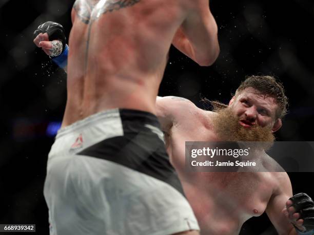 Roy Nelson battles Alexander Volkov during their Heavyweight bout on UFC Fight Night at the Sprint Center on April 15, 2017 in Kansas City, Missouri.