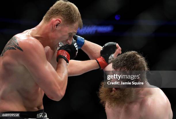 Roy Nelson battles Alexander Volkov during their Heavyweight bout on UFC Fight Night at the Sprint Center on April 15, 2017 in Kansas City, Missouri.