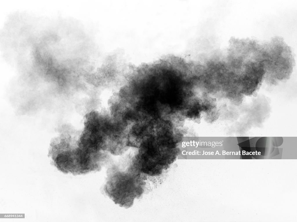 Explosion of a cloud of powder of particles of  black  and grey on a white background