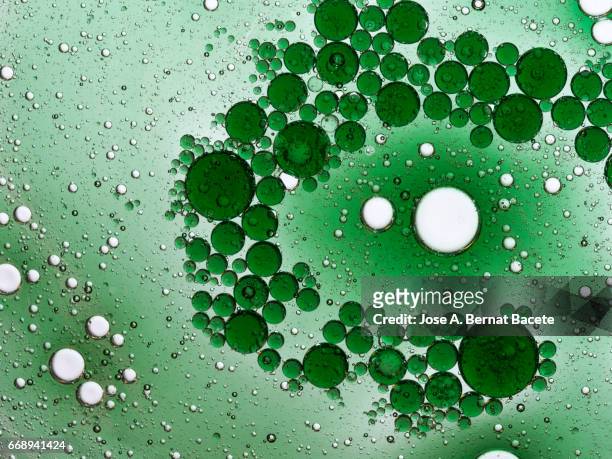 full frame of the textures formed by the bubbles and drops of oil in the shape of circle floating on a green colors background - espiral stock-fotos und bilder