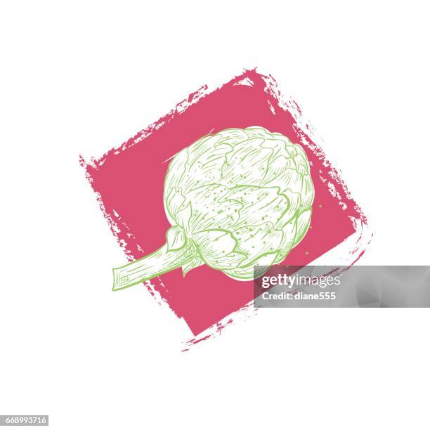 vintage style hand drawn vegetable with texture - artichoke pattern stock illustrations
