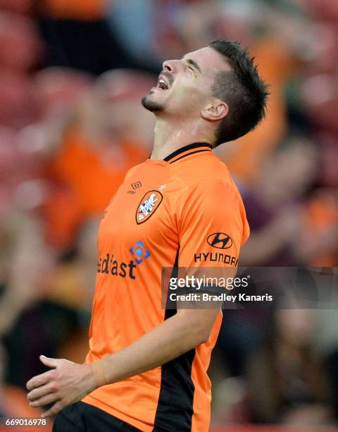 Jamie Maclaren of the Roar reacts after a near miss at goal during the round 27 A-League match between the Brisbane Roar and the Wellington Phoenix...