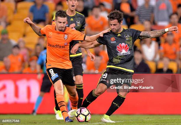 Jamie Maclaren of the Roar and Thomas Doyle of the Phoenix compete for the ball during the round 27 A-League match between the Brisbane Roar and the...