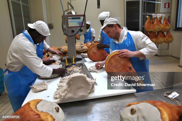 Italian and African immigrant workers add a protective covering of lard and salt to Prosciutto di Parma, cured pork thighs, during their maturation...