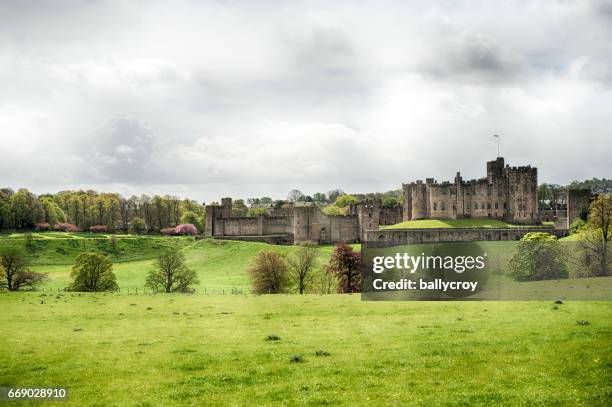 castillo de alnwick, alnwick en northumberland, reino unido - alnwick castle fotografías e imágenes de stock
