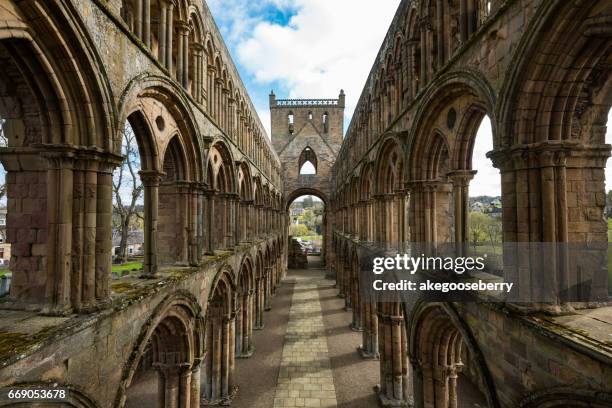 jedburgh abbey, uk - scotland castle stock pictures, royalty-free photos & images