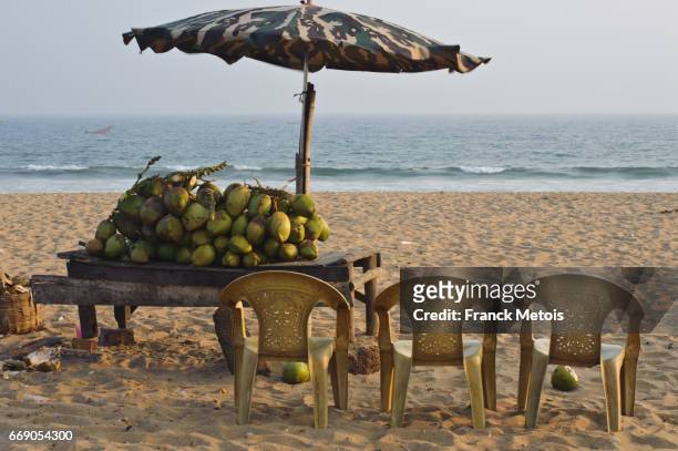 chairs on beach + coconut stall ( india) - odisha stock-fotos und bilder