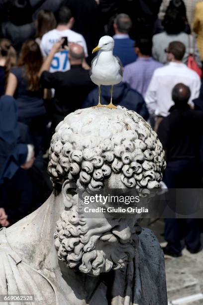 Seagull stands on the head of St. Peter's statue as Pope Francis attends the Easter Mass at St. Peter's Square on April 16, 2017 in Vatican City,...