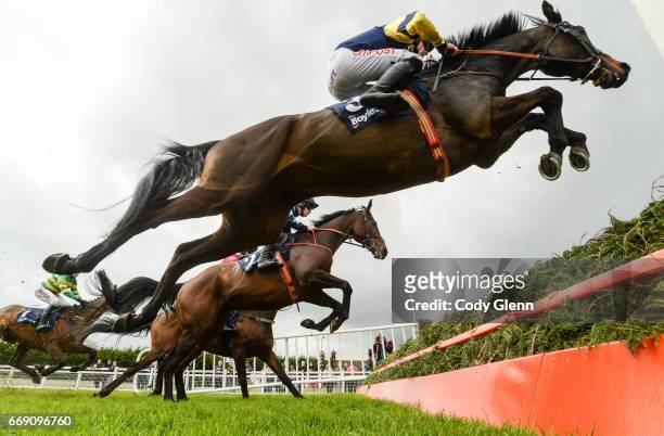 Meath , Ireland - 16 April 2017; Hurricane Ben, with Davy Russell up, jump the first on their first time round on their way to winning the...