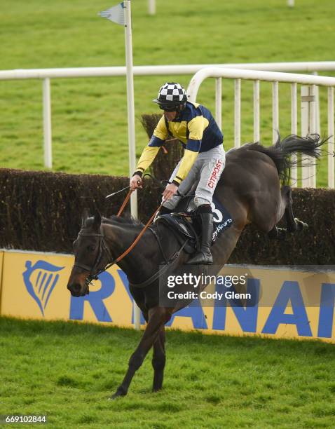 Meath , Ireland - 16 April 2017; Hurricane Ben, with Davy Russell up, jump the last on their way to winning the BoyleSports Novice Handicap...