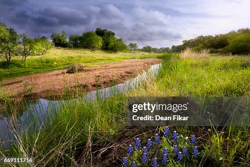 Rural Stream and Wildflowers in Central Texas Rural Stream and Wildflowers in Central Texas
