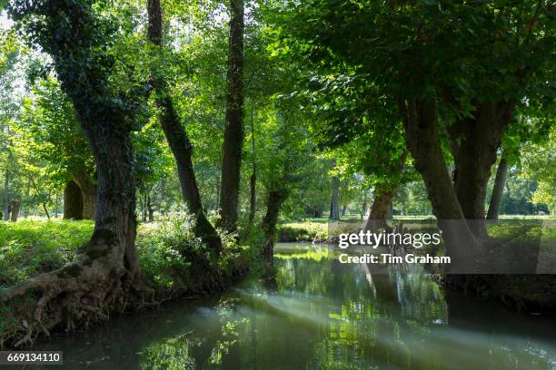 The Marais Poitrevin canal and marshland region a Grand Site de France.