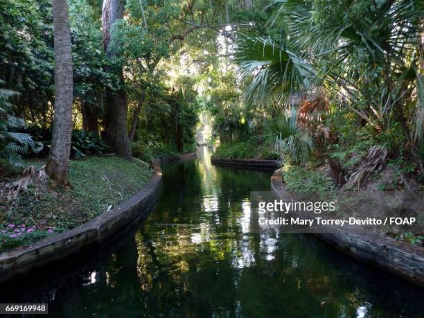 winter park canals in florida - winter park florida foto e immagini stock