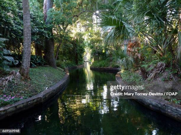 winter park canals in florida - winter park florida stockfoto's en -beelden