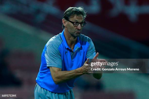 Head coach Tony Adams of Granada CF encourages his team during the La Liga match between Granada CF and Real Club Celta de Vigo at Estadio Nuevo Los...