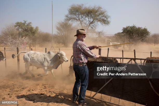 German farmer W.G. Diekmann stands on the border of his land, at his massive 20,000 hectares farm named Hamakari on August 14, 2016 outside...
