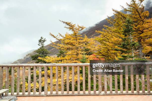 autumnal trees from viewing platform on mount fuji - wooden railing stock pictures, royalty-free photos & images