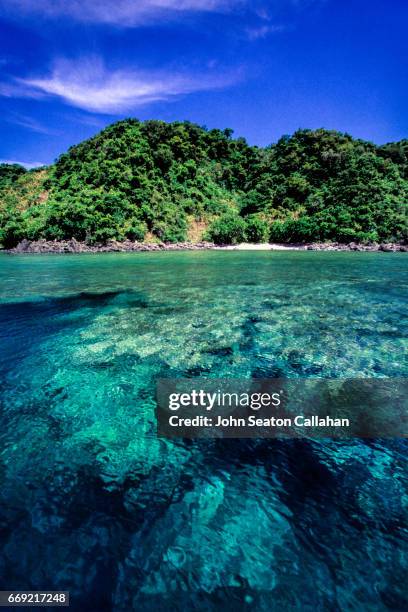 coral reef on catanduanes island - catanduanes ストックフォトと画像