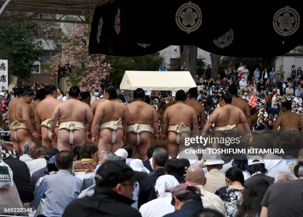 Sumo wrestlers line up to take part in a "honozumo," a ceremonial sumo exhibition, on the grounds of Yasukuni Shrine in Tokyo on April 17, 2017....