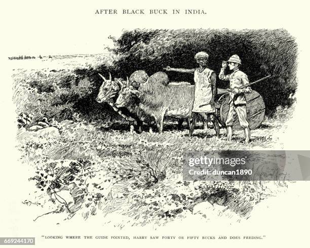 hunter asking directions from a guide, india, 19th century - indian tour guide stock illustrations
